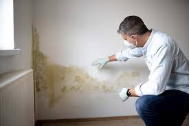 Best Commercial Mold Inspection in USA